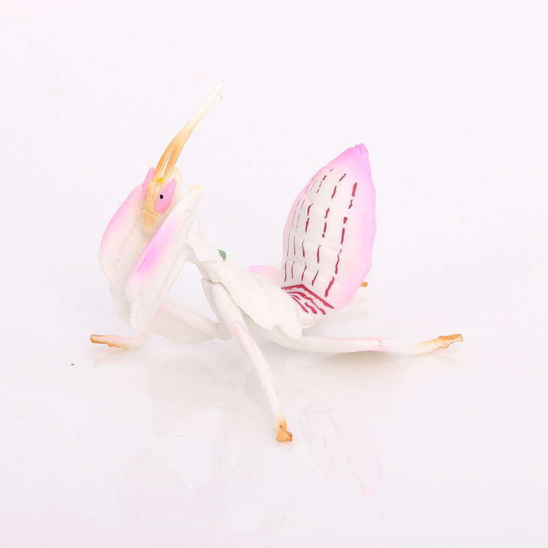 Orchid Kids Education - Realistic Animal Toy Model Pink Orchid