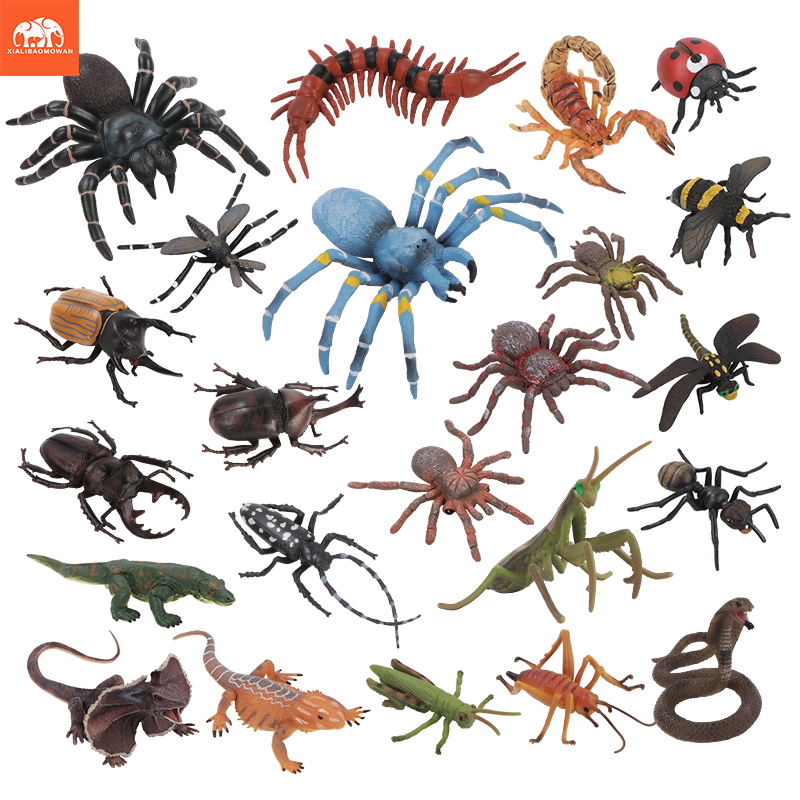 Kids Education Learn Tv - Educational Simulation Insect & Wild Animal