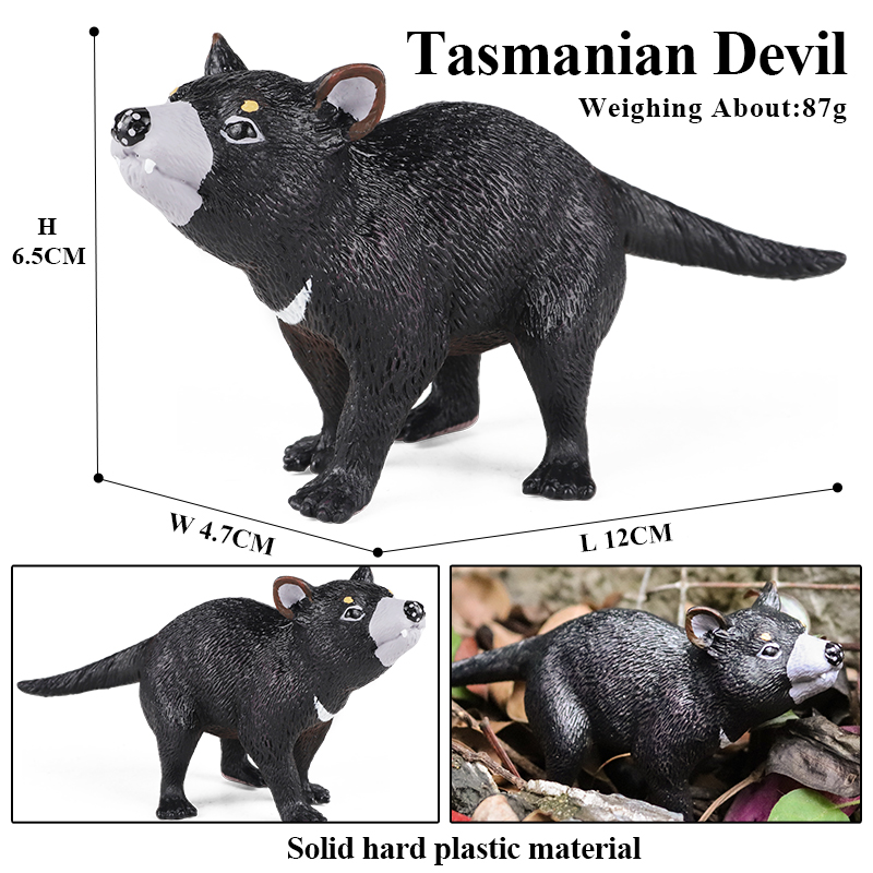 Oenux Classic Australian Wild  - Kangaroo Kids Education ulasan dan harga
