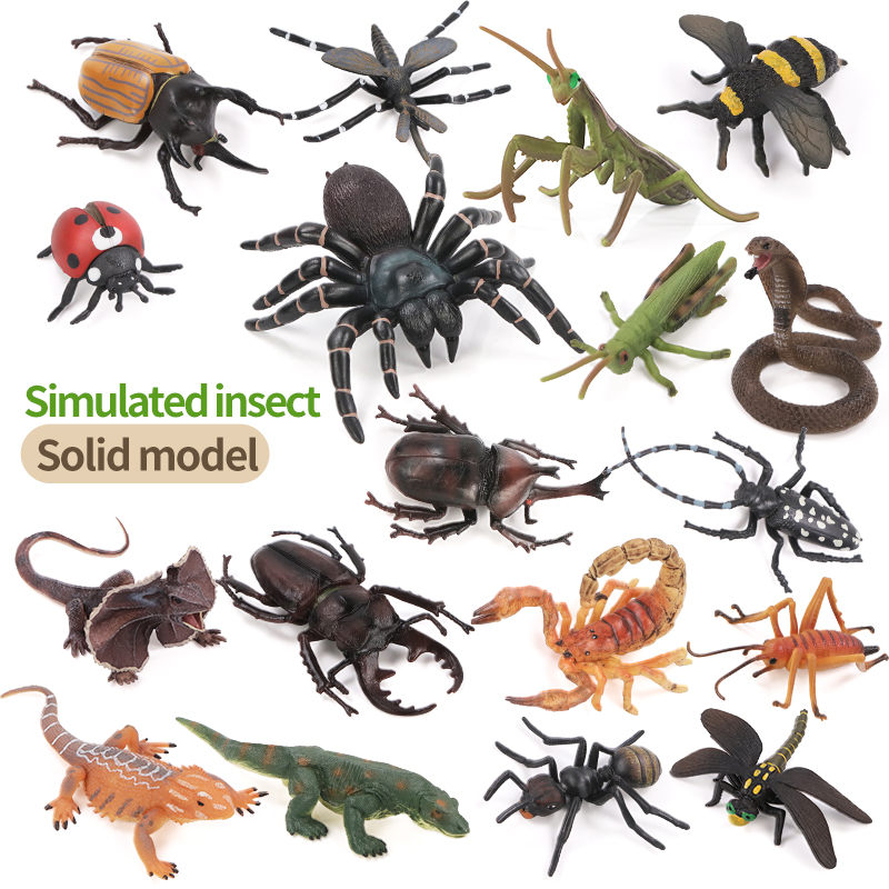 Educational Simulation Insect  - Kids Education Learn Tv ulasan dan harga