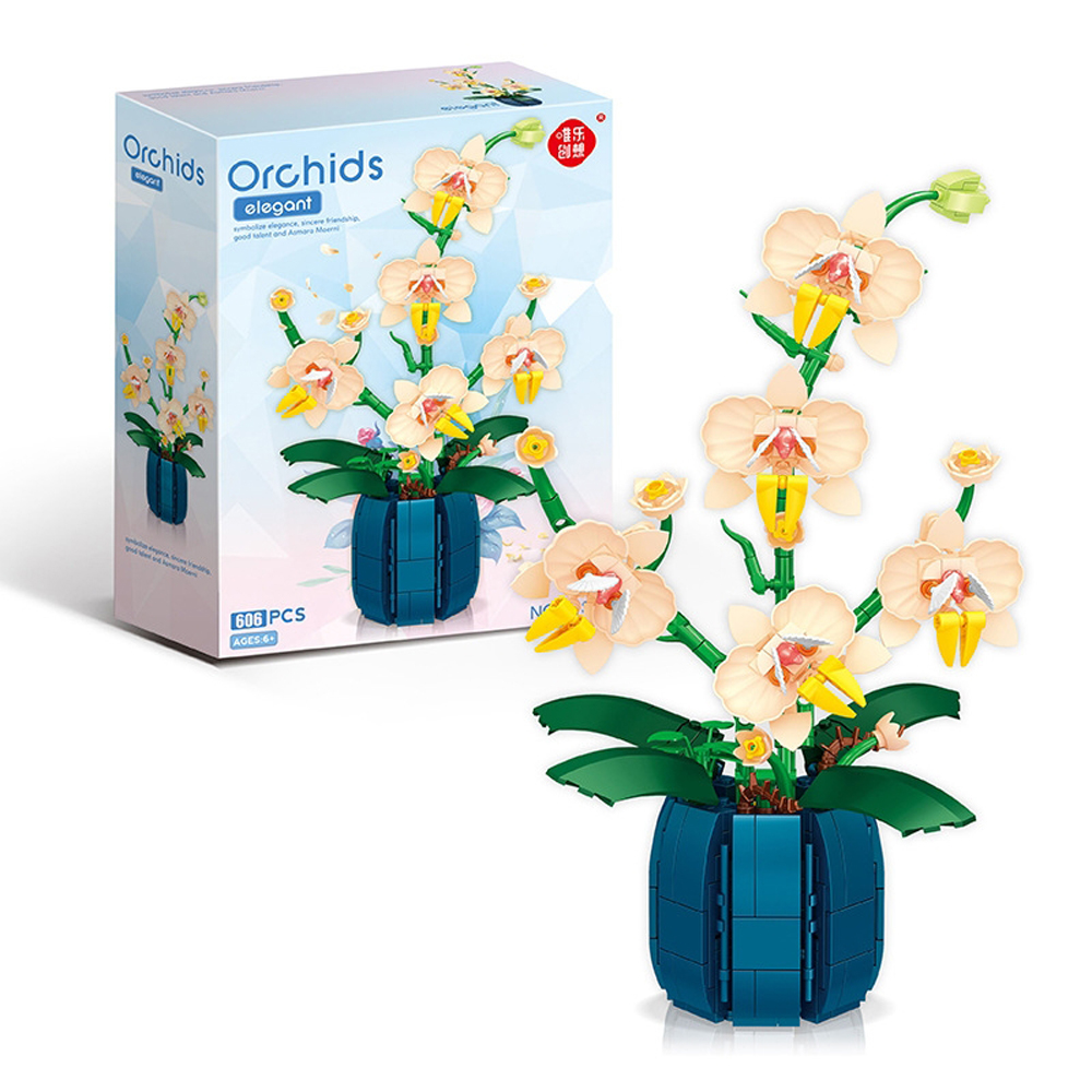 Bouquet Potted Orchid Building - Orchid Kids Education ulasan dan harga