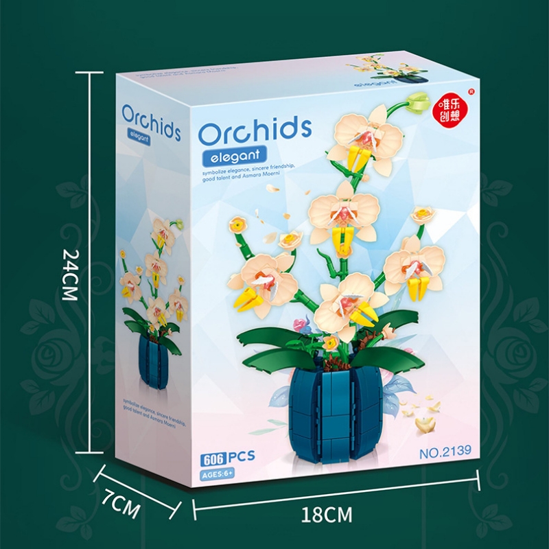 Bouquet Potted Orchid Building - Orchid Kids Education ulasan dan harga
